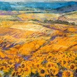 Campo de girasoles - 100x100 cm